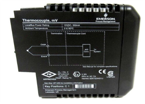Εμέρσον DELTA V KJ3002X1- BG2 Ψηφιακή Μονάδα I O ολοκαίνουργιο κουτί