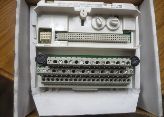 ABB TU839 3BSE046966R1 Μονάδα Τερματισμού Μονάδας Επεκτεινόμενη MTU 250V