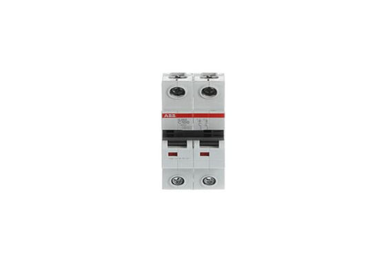 ΑΒΒ S202-C100 2CDS252001R0824 S202-C100 Μικροσκοπικός διακόπτης κυκλωμάτων - 2P - C - 100 A
