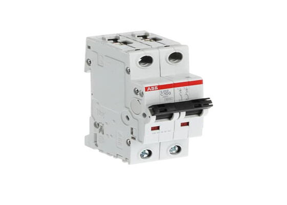 ΑΒΒ S202-C100 2CDS252001R0824 S202-C100 Μικροσκοπικός διακόπτης κυκλωμάτων - 2P - C - 100 A