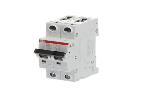 ΑΒΒ S202-C100 2CDS252001R0824 S202-C100 Μικροσκοπικός διακόπτης κυκλωμάτων - 2P - C - 100 A