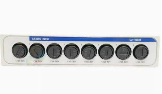 Westinghouse 1C31116G03 Μονάδα Ovation 0-20mA Τοπικά τροφοδοτούμενη αναλογική είσοδος Μονάδα Προσωπικότητας