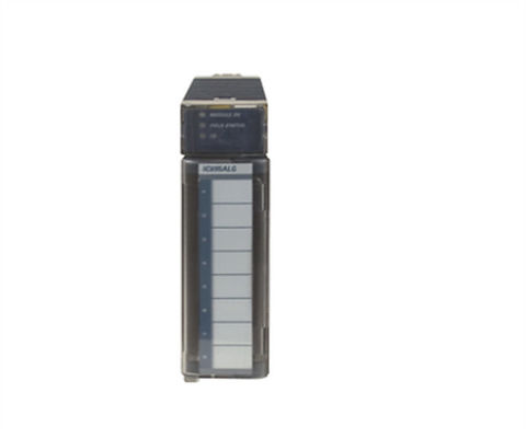IC695ALG616 GE Αναλογική Ενσωματωμένη Ενότητα GE Fanuc RX3i σειράς για βιομηχανικές εφαρμογές